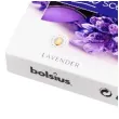 podgrzewacz zapachowy lawenda true scents fioletowy bolsius 38 mm 6 szt