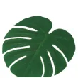 podkladki na stol liscie palmowe zielony guirca 34 cm 4 szt