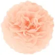 pompon bibulowy classic brzoskwiniowy partypal 15 cm