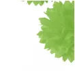 pompon bibulowy classic limonkowy arpex 23 45 cm 3 szt