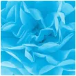 pompon bibulowy classic niebieski partypal 15 cm