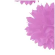 pompon bibulowy classic rozowy arpex 23 45 cm 3 szt