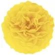pompon bibulowy classic zolty partypal 15 cm