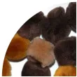 pompony pluszowe akrylowe jesienne brazowe titanum 25 mm 30 szt