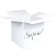 pudelko na balony suprise niespodzianka biale godan 50 cm