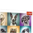 puzzle zabawne psie portrety trefl 1000 elementow