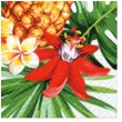 serwetki ananas paw 33 cm 20 szt