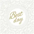 serwetki best day biale paw 33 cm 20 szt