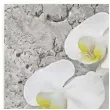 serwetki biala orchidea na szarym tle maki 33 cm 20 szt
