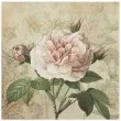 serwetki biala roza vintage maki 33 cm 20 szt