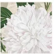 serwetki biale peonie maki 33 cm 20 szt
