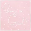 serwetki boy or girl partydeco 33 cm 20 szt