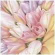 serwetki bukiet tulipanow z kokarda maki 33 cm 20 szt