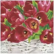 serwetki czerwone tulipany w wiklinie maki 33 cm 20 szt