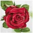 serwetki duza czerwona roza maki 33 cm 20 szt