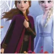 serwetki frozen 2 kraina lodu eko procos 33z33 cm 20 szt
