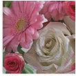 serwetki gerbery i biale roze maki 33 cm 20 szt