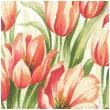 serwetki jasne tulipany paw 33 cm 20 szt