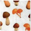 serwetki kompozycja grzybow paw 33 cm 20 szt
