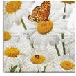 serwetki kwiaty stokrotki i motyle maki 33 cm 20 szt