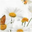 serwetki kwiaty stokrotki i motyle maki 33 cm 20 szt