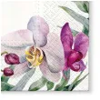serwetki kwitnaca orchidea paw 33 cm 20 szt