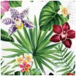 serwetki liscie monstery kwiaty i motyle paw 33 cm 20 szt