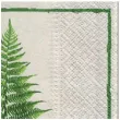 serwetki liscie paproci paw 33 cm 20 szt