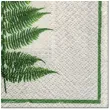 serwetki liscie paproci paw 33 cm 20 szt