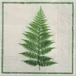 serwetki liscie paproci paw 33 cm 20 szt