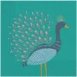 serwetki paw peacock procos 33 cm 20 szt