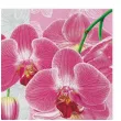 serwetki romantyczna orchidea maki 33 cm 20 szt