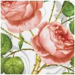 serwetki roza z kolcami maki 33 cm 20 szt