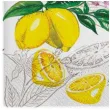 serwetki soczyste cytryny maki 33 cm 20 szt