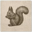 serwetki szkic wiewiorki paw 33 cm 20 szt