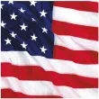 serwetki usa flaga amscan 25 cm 16 szt