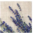 serwetki wiazka lawendy paw 33 cm 20 szt