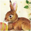 serwetki wielkanoc krolik i jajko maki 33 cm 20 szt