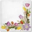 serwetki wielkanoc kwiatowa ramka maki 33 cm 20 szt