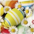 serwetki wielkanoc pisanki i stokrotki paw 33 cm 20 szt
