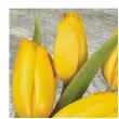 serwetki wielkanoc tulipany na drewnie maki 33 cm 20 szt