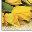 serwetki wielkanoc zolte tulipany maki 33 cm 20 szt
