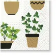 serwetki ziola w doniczkach paw 33 cm 20 szt