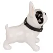 skarbonka pies xl bialy ootb