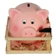skarbonka swinka z mloteczkiem xxl ootb
