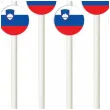 slomki panstwa swiata slowenia 19 5 cm 6 szt
