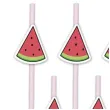 slomki papierowe arbuzy summer party 20 cm partypal 8 szt