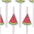 slomki papierowe arbuzy summer party 20 cm partypal 8 szt