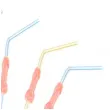slomki penisy kolorowe 6 szt