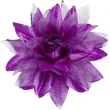 spinka do wlosow kwiat fioletowy widmann